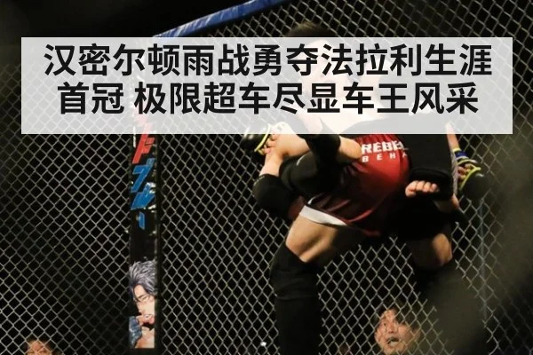 汉密尔顿雨战勇夺法拉利生涯首冠 极限超车尽显车王风采